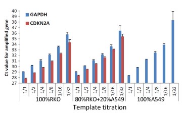 PCR amplification for amplicons in the CDKN2A.jpg